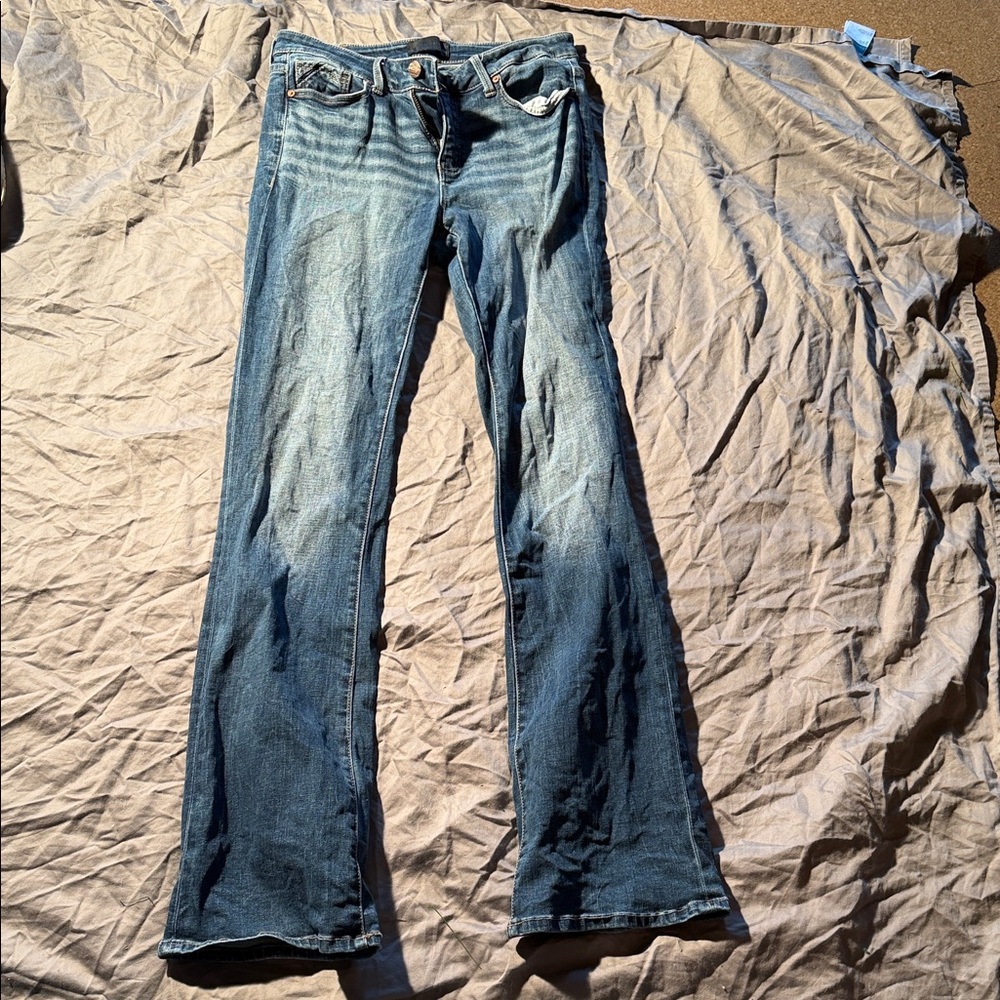 Buckle Women's Medium Blue Bootcut Jeans